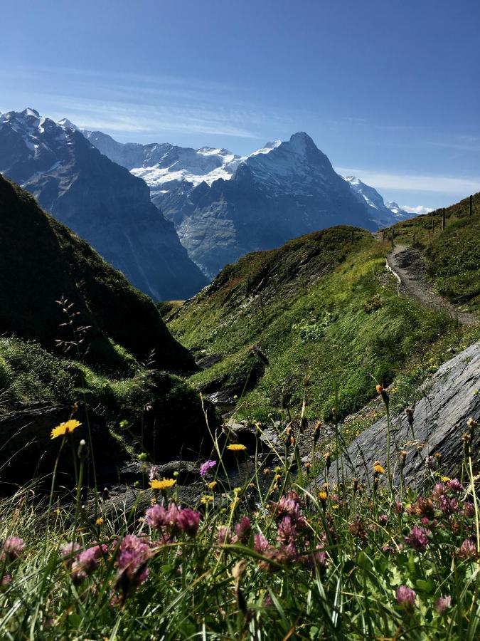 Silberhorn Apartamento Grindelwald Exterior foto